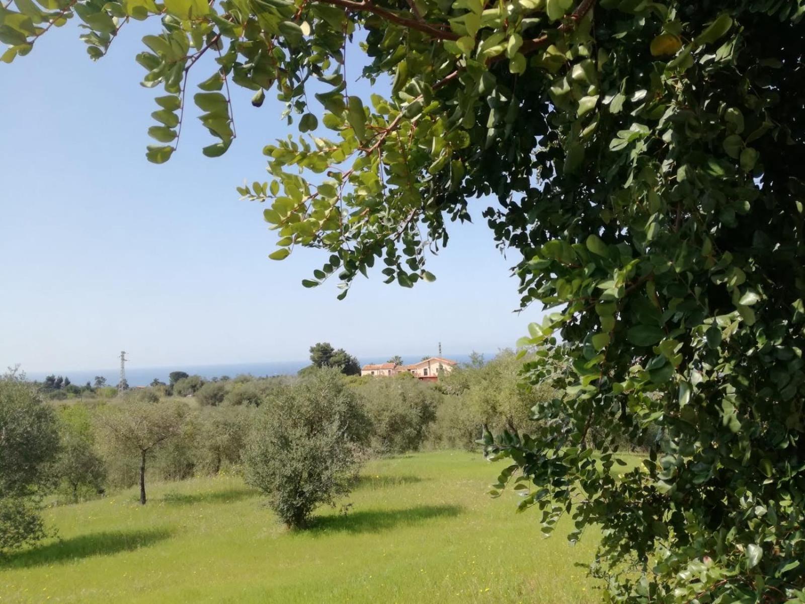 Il Casale Il Sole E La Margherita Campofelice Di Roccella Eksteriør bilde