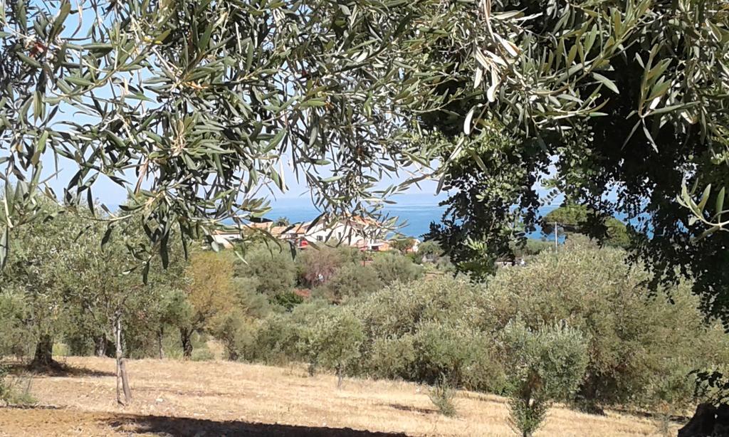 Il Casale Il Sole E La Margherita Campofelice Di Roccella Eksteriør bilde